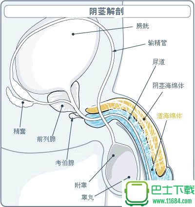 给壮阳菜单打假，韭菜君帮不到你小弟弟