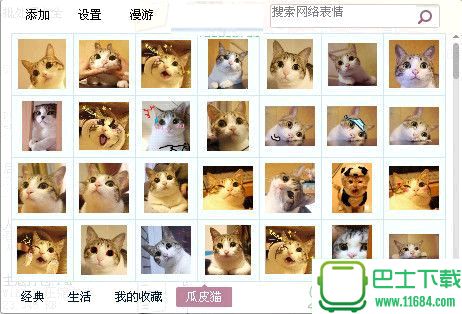 瓜皮猫QQ表情包最新