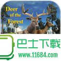 森林之鹿Deer of the Forest v1.0 安卓汉化版