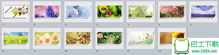 一组精美的鲜花植物背景幻灯片PPT模板13p下载