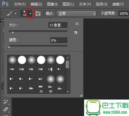 PS头发笔刷(hair brush) v1.0 绿色版下载