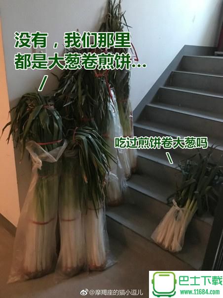 山东章丘大葱QQ表情包 高清无水印下载