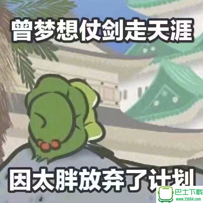 小蛙表情包 高清无水印下载