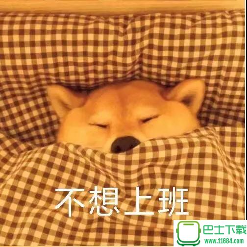 柴犬不想起床表情包下载