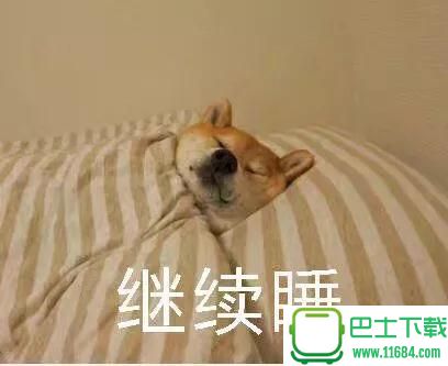 柴犬不想起床表情包下载