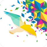 一个奇鸽app v1.6.0最新版 安卓版下载