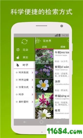 识花形色 v2.1.598 安卓版下载