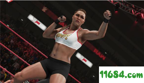 WWE 2K19下载-WWE 2K19 免安装绿色版下载