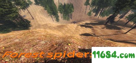 《森林蜘蛛Forest spiders》中文免安装版