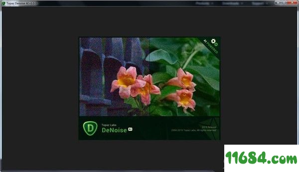 Topaz DeNoise AI下载-AI图片降噪软件Topaz DeNoise AI v1.3.1 官方版下载
