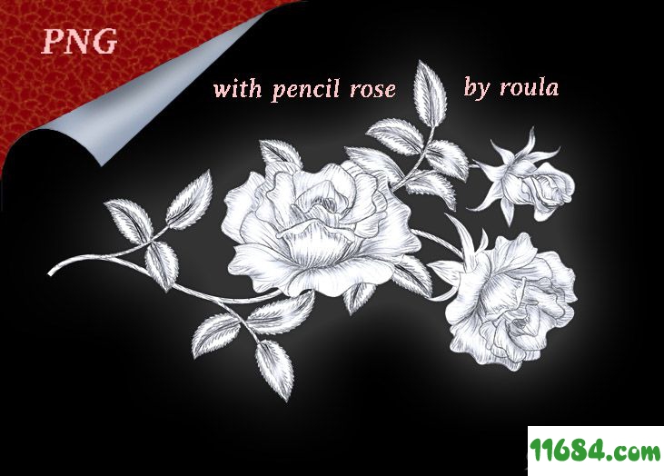 玫瑰花朵图案PS笔刷素材