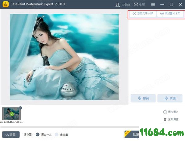 EasePaint Watermark Expert破解版下载-去水印软件EasePaint Watermark Expert v2.0.0 绿色破解版下载