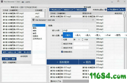 Pan Renamer破解版下载-百度网盘批量重命名工具Pan Renamer v1.0 绿色版下载